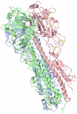 Image Asym./Biol. Unit