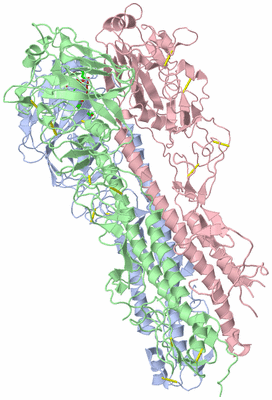 Image Asym./Biol. Unit - sites