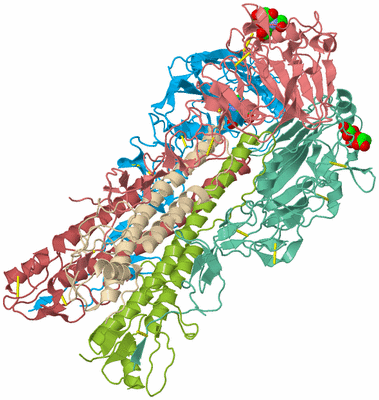 Image Asym./Biol. Unit