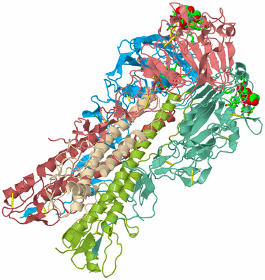 Image Asym./Biol. Unit - sites