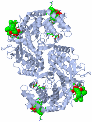 Image Biol. Unit 1 - sites