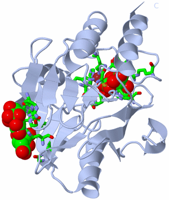 Image Biol. Unit 1 - sites