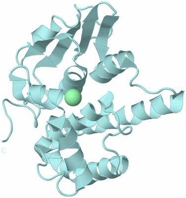 Image Biological Unit 10