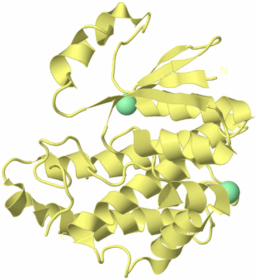 Image Biological Unit 12