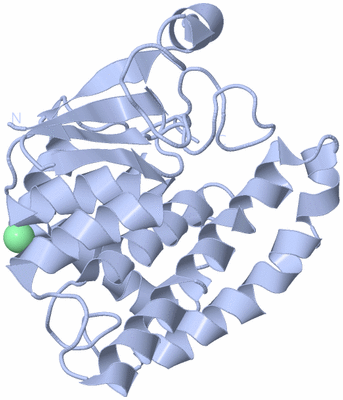 Image Biological Unit 3