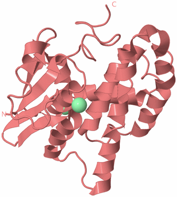 Image Biological Unit 7