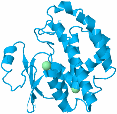 Image Biological Unit 8