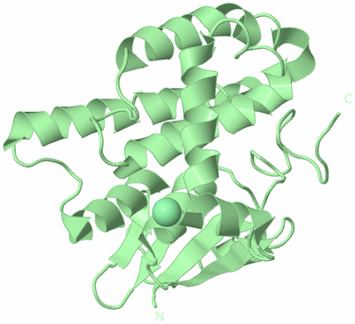 Image Biological Unit 9