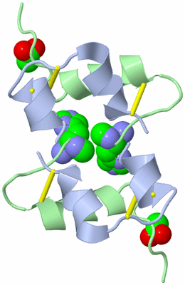 Image Biological Unit 1