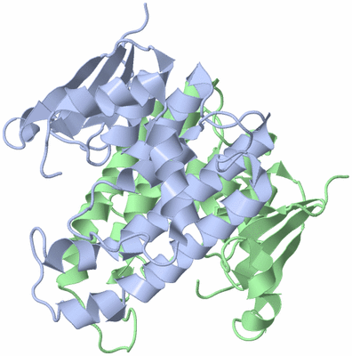 Image Asym./Biol. Unit