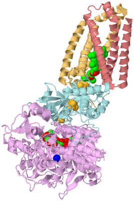 Image Biological Unit 2