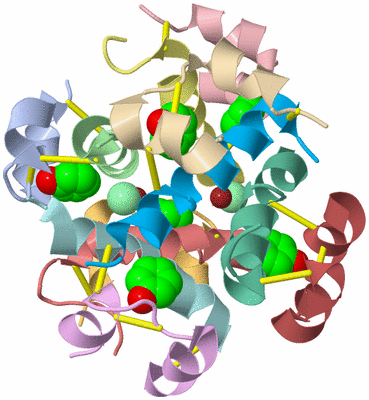 Image Asym./Biol. Unit