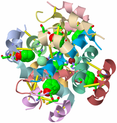 Image Asym./Biol. Unit - sites