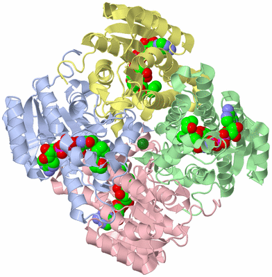 Image Asym./Biol. Unit