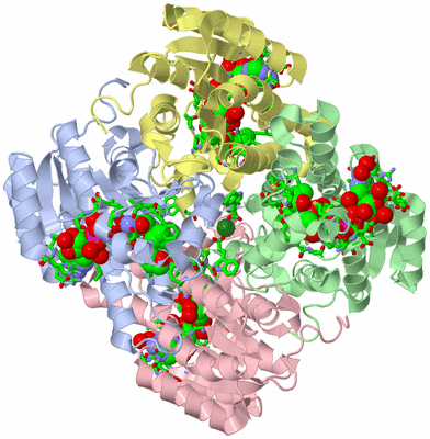 Image Asym./Biol. Unit - sites