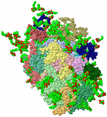 Image Asym./Biol. Unit