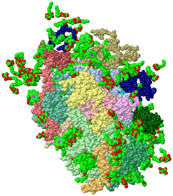 Image Asym./Biol. Unit