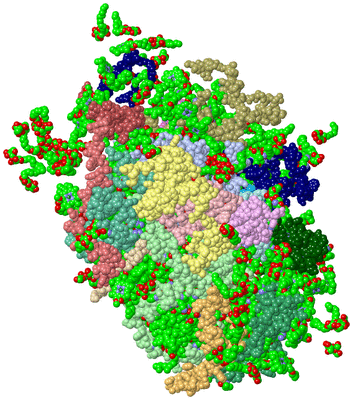 Image Asym./Biol. Unit - sites