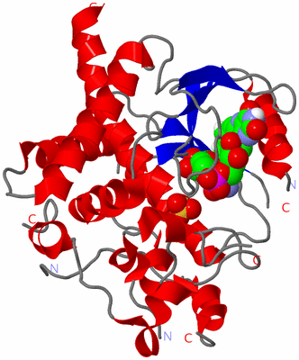 Image Asym./Biol. Unit