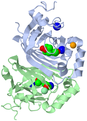 Image Asym./Biol. Unit