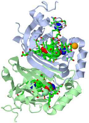 Image Asym./Biol. Unit - sites