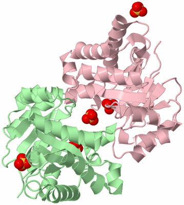 Image Biological Unit 1