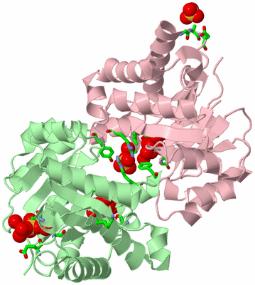 Image Biol. Unit 1 - sites