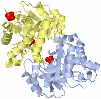 Image Biological Unit 2