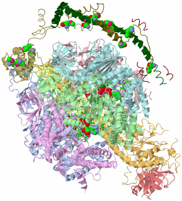 Image Biol. Unit 1 - sites