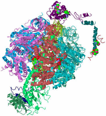 Image Biological Unit 2