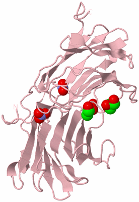 Image Biological Unit 3