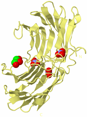 Image Biological Unit 4