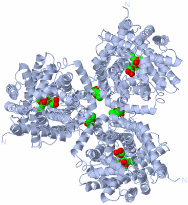 Image Biological Unit 1