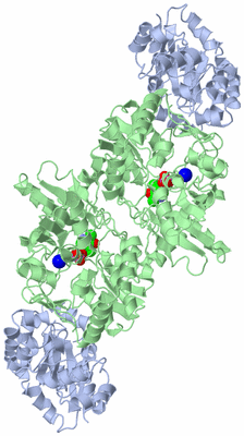 Image Biological Unit 1