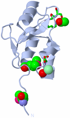 Image Biol. Unit 1 - sites