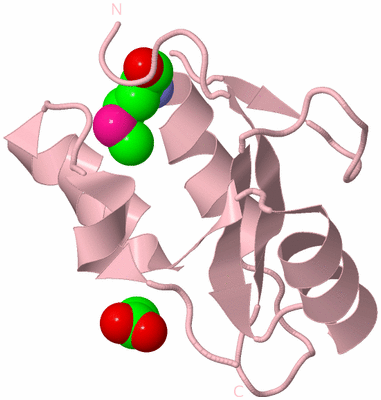 Image Biological Unit 3