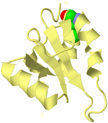 Image Biological Unit 4