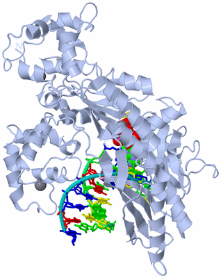 Image Biological Unit 1