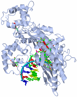 Image Biol. Unit 1 - sites