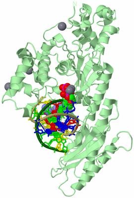 Image Biological Unit 2