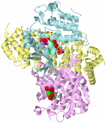 Image Biological Unit 1