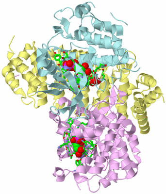 Image Biol. Unit 1 - sites