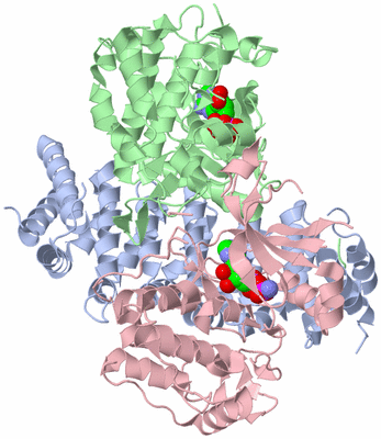 Image Biological Unit 2