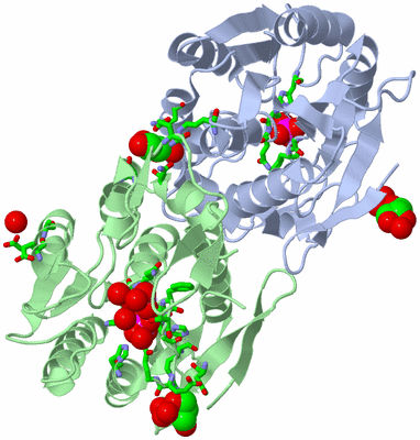 Image Biol. Unit 1 - sites