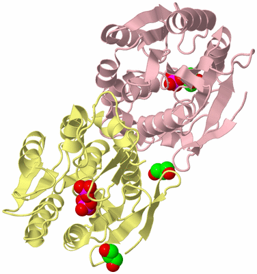 Image Biological Unit 2