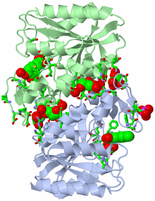 Image Asym./Biol. Unit - sites