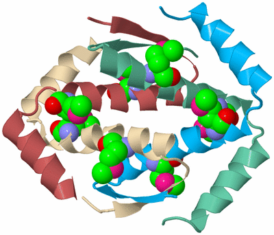 Image Biological Unit 1