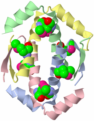 Image Biological Unit 2