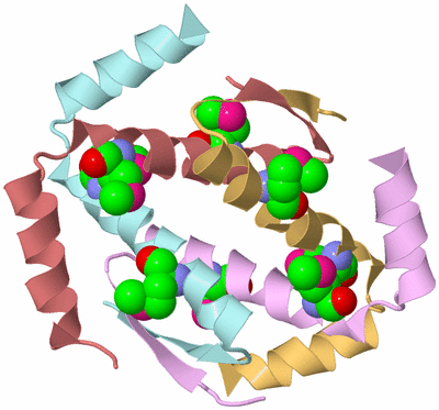 Image Biological Unit 3