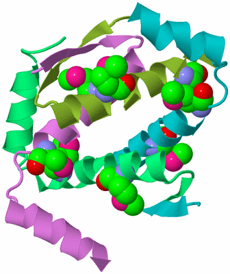 Image Biological Unit 4